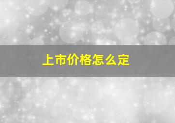 上市价格怎么定