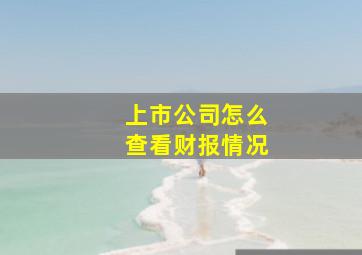 上市公司怎么查看财报情况