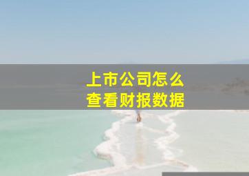 上市公司怎么查看财报数据