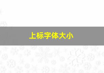 上标字体大小