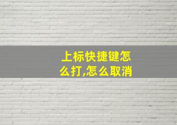 上标快捷键怎么打,怎么取消