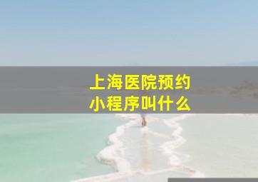 上海医院预约小程序叫什么