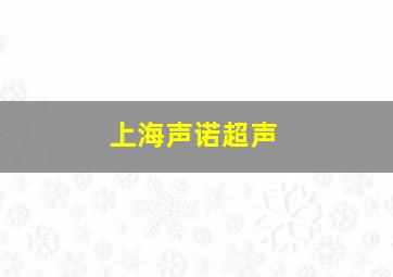 上海声诺超声