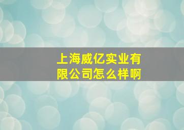 上海威亿实业有限公司怎么样啊