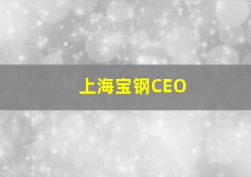 上海宝钢CEO