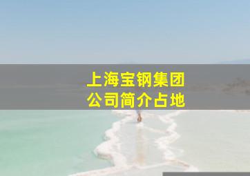 上海宝钢集团公司简介占地