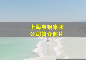 上海宝钢集团公司简介照片