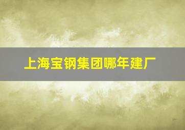 上海宝钢集团哪年建厂