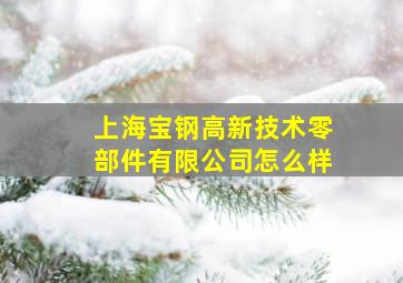 上海宝钢高新技术零部件有限公司怎么样