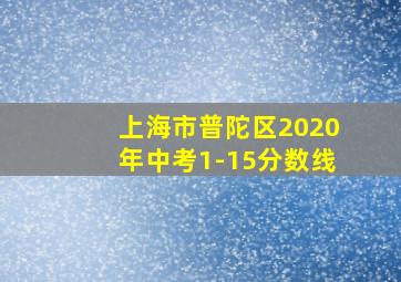 上海市普陀区2020年中考1-15分数线