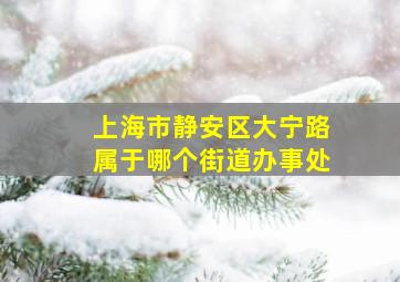 上海市静安区大宁路属于哪个街道办事处