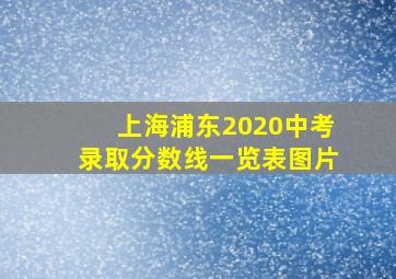 上海浦东2020中考录取分数线一览表图片