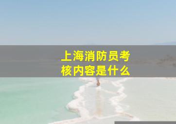 上海消防员考核内容是什么