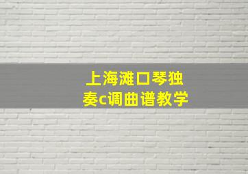 上海滩口琴独奏c调曲谱教学