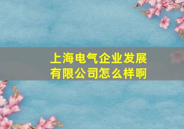 上海电气企业发展有限公司怎么样啊