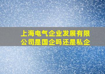 上海电气企业发展有限公司是国企吗还是私企