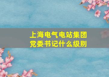 上海电气电站集团党委书记什么级别