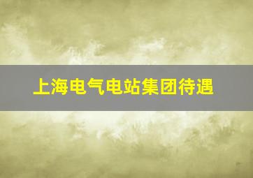 上海电气电站集团待遇