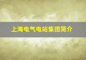 上海电气电站集团简介