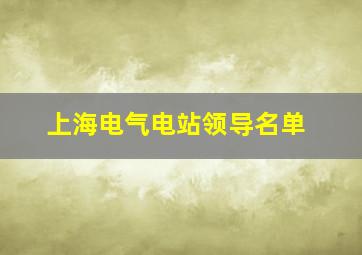 上海电气电站领导名单