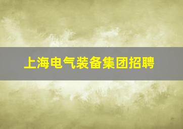 上海电气装备集团招聘