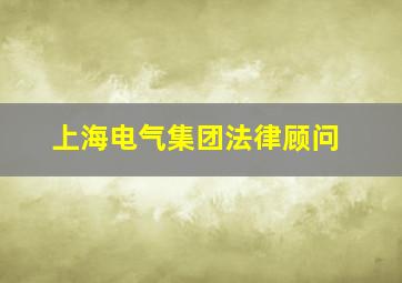 上海电气集团法律顾问