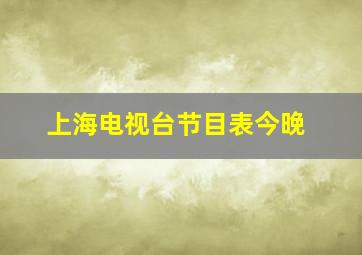 上海电视台节目表今晚