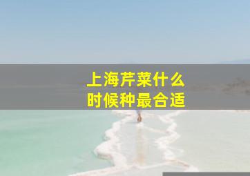 上海芹菜什么时候种最合适