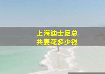 上海迪士尼总共要花多少钱