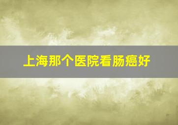 上海那个医院看肠癌好