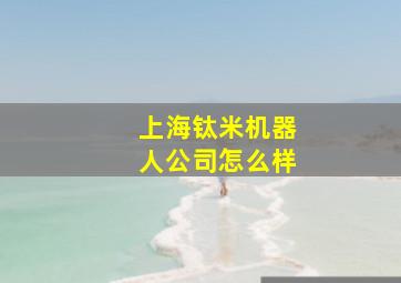 上海钛米机器人公司怎么样