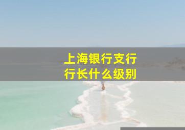 上海银行支行行长什么级别