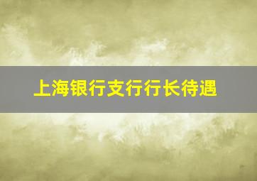 上海银行支行行长待遇