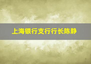 上海银行支行行长陈静