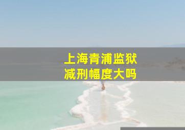 上海青浦监狱减刑幅度大吗