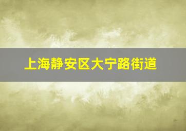 上海静安区大宁路街道