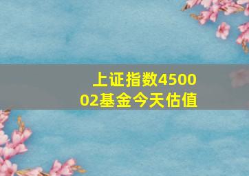 上证指数450002基金今天估值