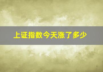 上证指数今天涨了多少