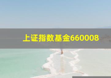 上证指数基金660008