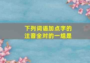 下列词语加点字的注音全对的一组是