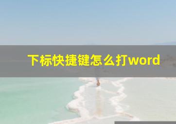 下标快捷键怎么打word