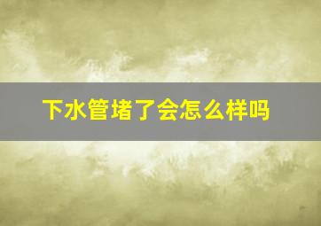 下水管堵了会怎么样吗