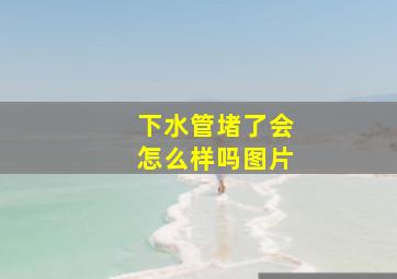 下水管堵了会怎么样吗图片