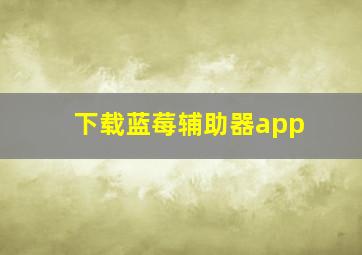 下载蓝莓辅助器app