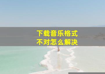 下载音乐格式不对怎么解决