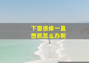 下面很痒一直想抓怎么办啊