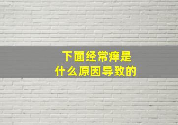 下面经常痒是什么原因导致的