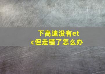 下高速没有etc但走错了怎么办