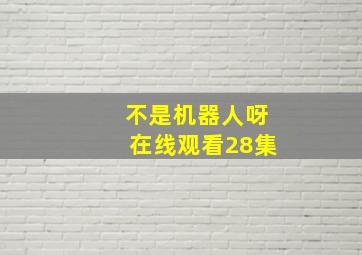 不是机器人呀在线观看28集