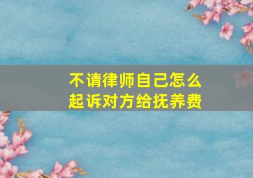 不请律师自己怎么起诉对方给抚养费